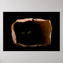 Verstecken in Schatten Poster