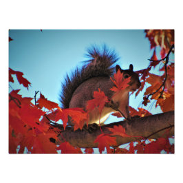 "Verstecken in Schlichter Sicht" Fotodruck