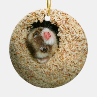 Verstecken Pauley Verzierung Keramikornament