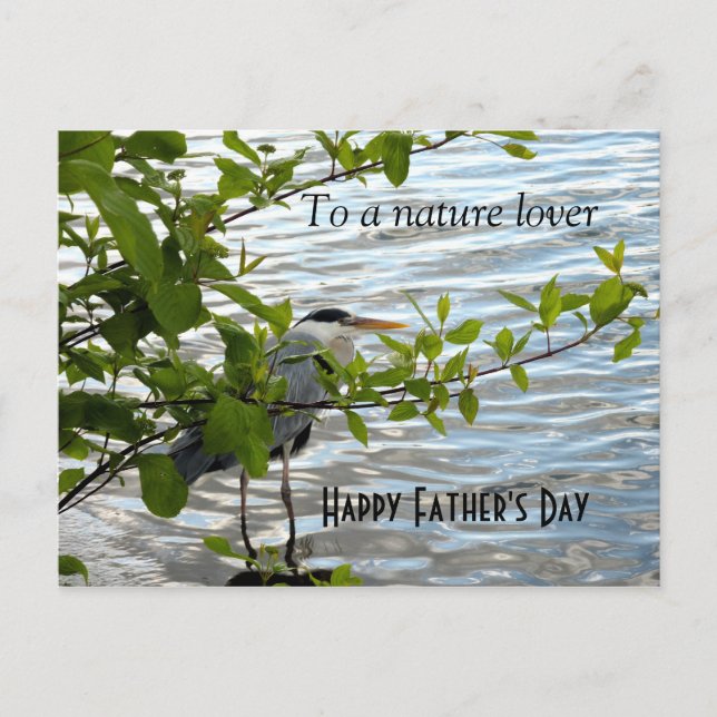 Verstecken Sie Heron! Postkarte (Vorderseite)