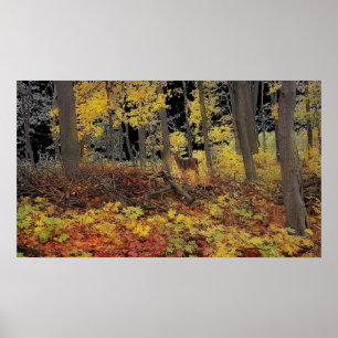 Versteckt, Plakat