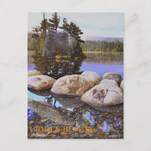 Versteckte Schönheitsbilder Postkarte