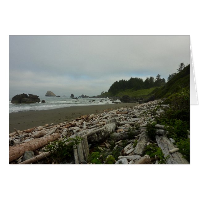 Versteckter Strand I im Redwood National Park (Vorderseite (Horizontal))