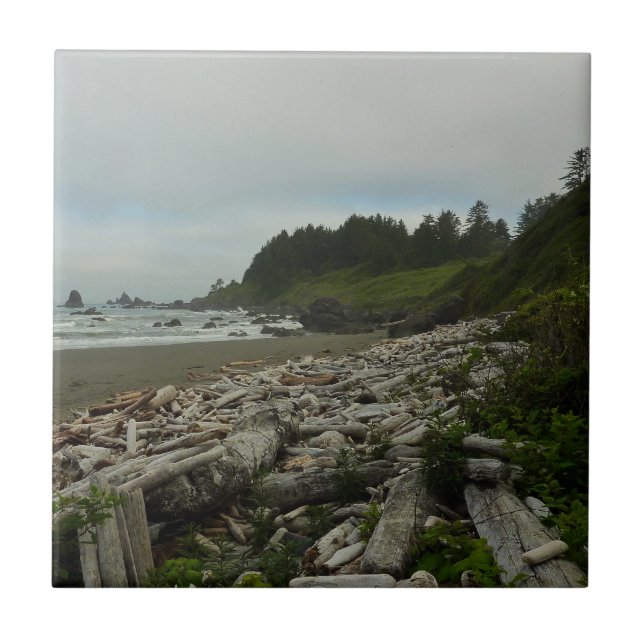 Versteckter Strand I im Redwood National Park Fliese (Vorderseite)