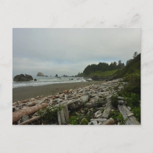 Versteckter Strand I im Redwood National Park Postkarte