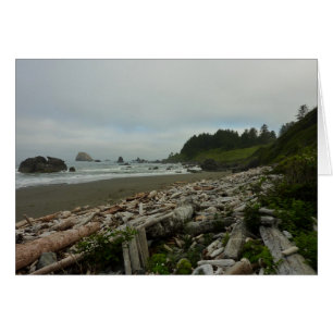Versteckter Strand I im Redwood-Nationalpark