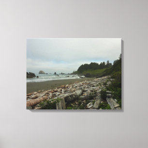 Versteckter Strand I im Redwood-Nationalpark Leinwanddruck