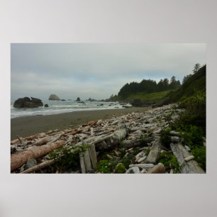 Versteckter Strand I im Redwood-Nationalpark Poster