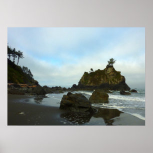 Versteckter Strand II im Redwood National Park Poster