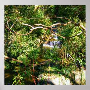 Versteckter Wasserfall Poster