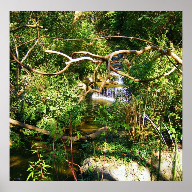 Versteckter Wasserfall Poster (Vorne)
