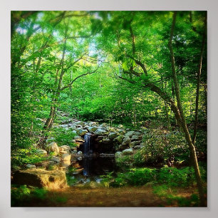 Versteckter Wasserfall Poster