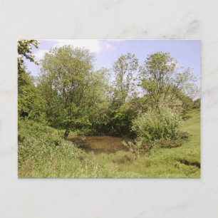 verstecktes Foto Postkarte