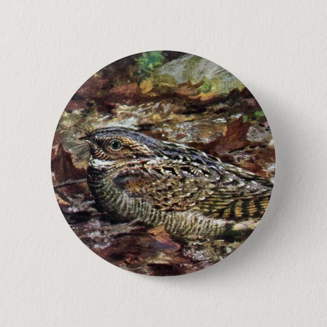 Verstecktes Whippoorwill Button (Vorderseite)