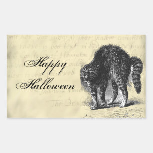 Versteinerte Halloween-Katze Rechteckiger Aufkleber