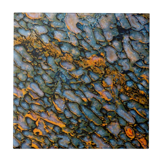 Versteinerter Dinosaurier-Knochen Fliese (Vorderseite)