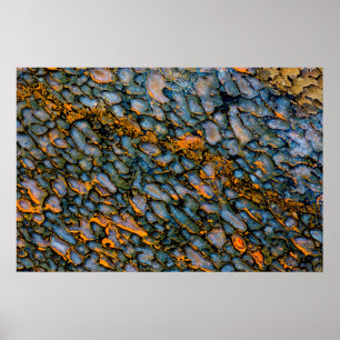 Versteinerter Dinosaurier-Knochen Poster