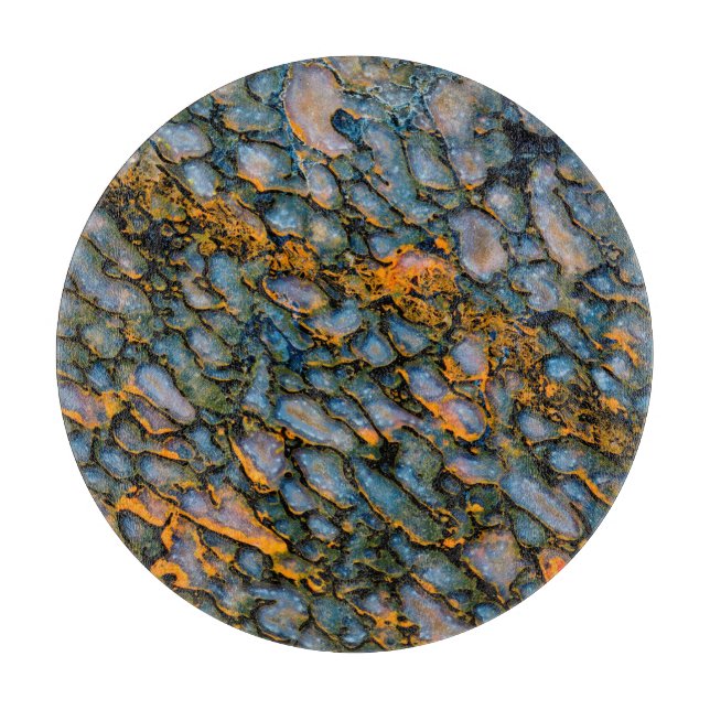 Versteinerter Dinosaurier-Knochen Schneidebrett (Vorderseite)