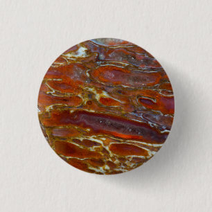 Versteinerter Dinosaurierknochen Button