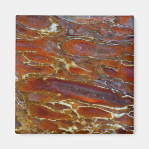 Versteinerter Dinosaurierknochen Magnet