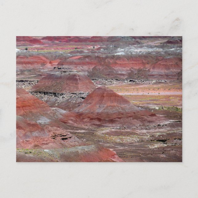 Versteinerter Wald 2 Postkarte (Vorderseite)