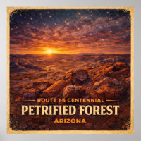 Versteinerter Wald Arizona Centennial