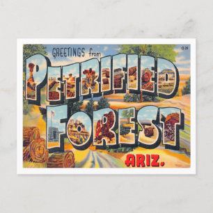 Versteinerter Wald, Arizona Vintage Big Letters Postkarte