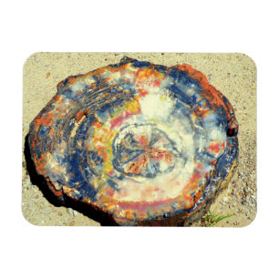 Versteinerter Wald-Nationalpark Magnet