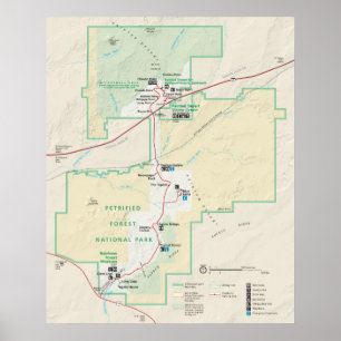 Versteinerter Wald-Nationalpark Poster