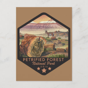 Versteinerter Wald-Nationalpark Postkarte