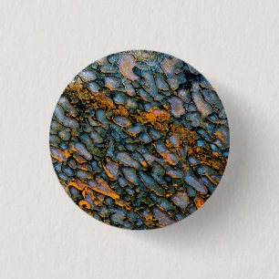 Versteinertes Dinosaurierskelett Button