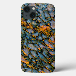 Versteinertes Dinosaurierskelett Case-Mate iPhone Hülle