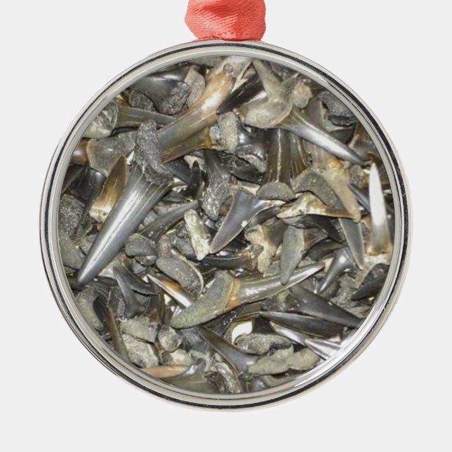 Versteinertes Haifischzahnmuster Ornament Aus Metall (Vorne)
