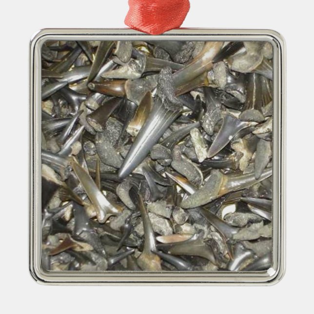 Versteinertes Haifischzahnmuster Silbernes Ornament (Vorne)