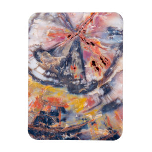 Versteinertes Holz Detail, Arizona Magnet