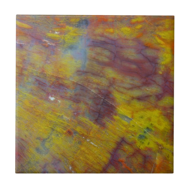 versteinertes Holz Fliese (Vorderseite)