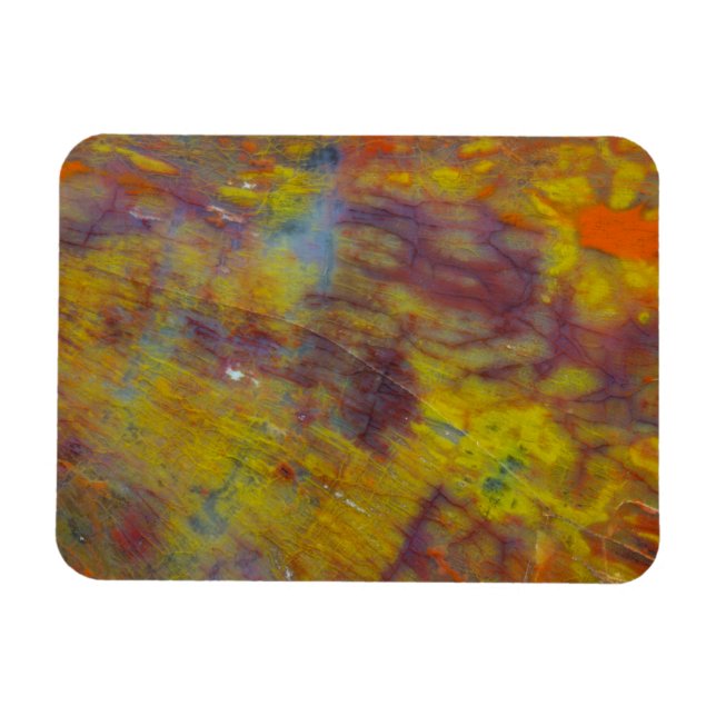 versteinertes Holz Magnet (Horizontal)