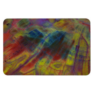 Versteinertes Holz Magnet