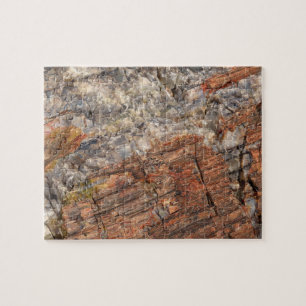 Versteinertes Holz Nahaufnahme I Puzzle