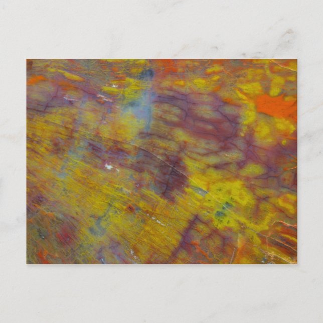 Versteinertes Holz Postkarte (Vorderseite)