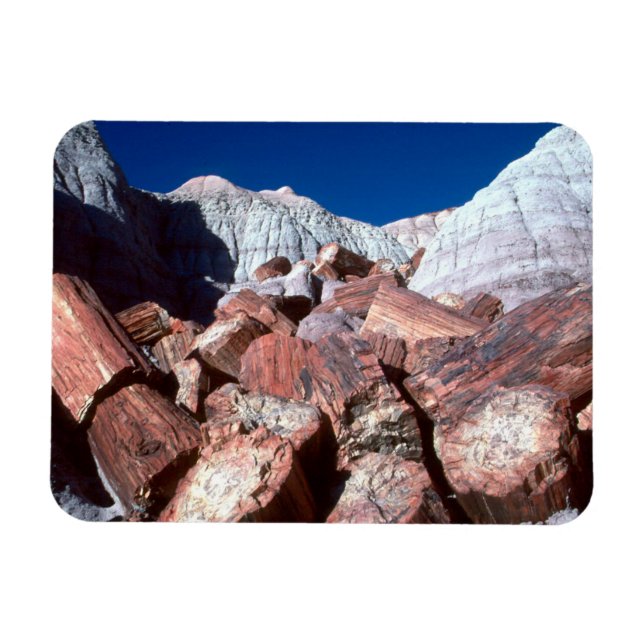 versteinertes Holz, versteinerter Wald NP, Arizona Magnet (Horizontal)