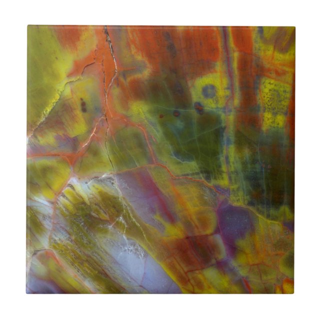 Versteinertes Regenbogenholz Fliese (Vorderseite)