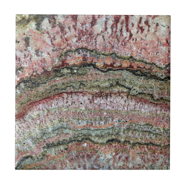 Versteinertes Stromatolites Fliese (Vorderseite)