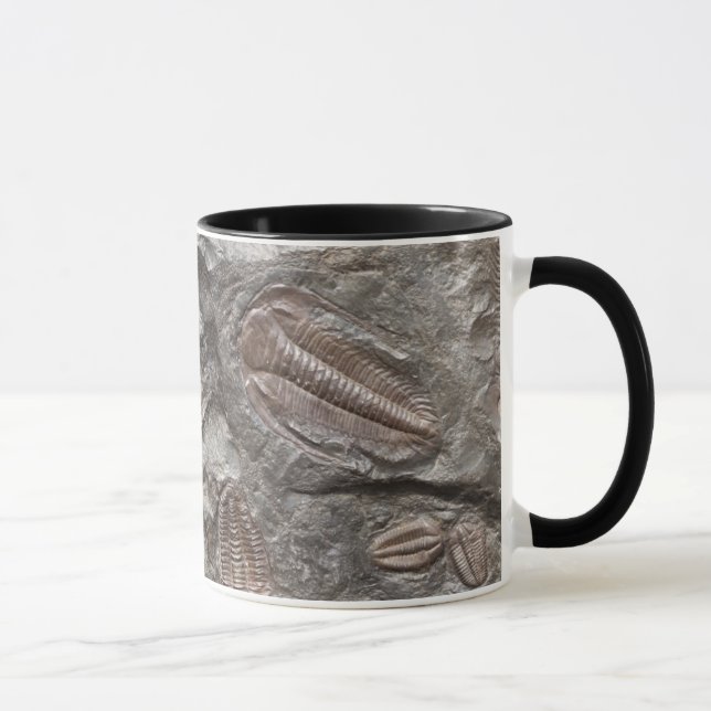 Versteinertes Trilobites: TRILOBITE FOSSILIEN Tasse (Rechts)