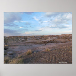 Versteinertes Waldfeld Poster