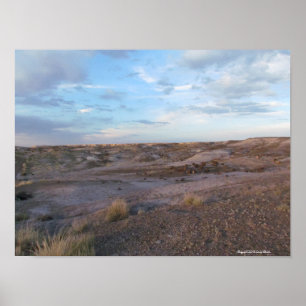 Versteinertes Waldfeld Poster