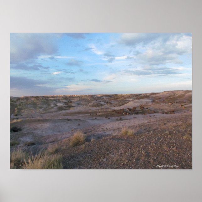 Versteinertes Waldfeld Poster (Vorne)