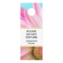 Verstören Sie nicht das schöne rosa Blume-Foto