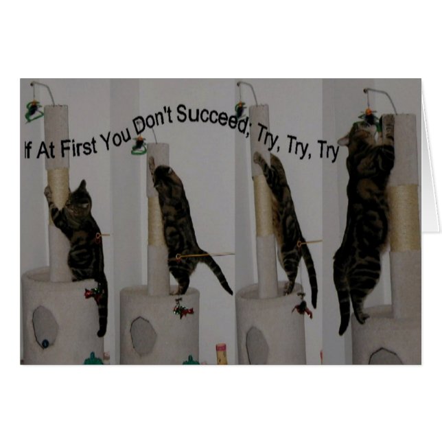 Versuchen Sie es, bis Sie können (Vorderseite (Horizontal))