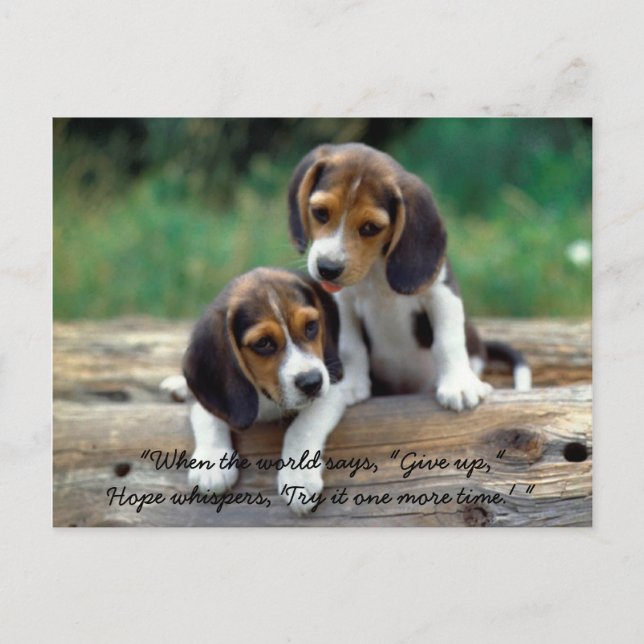 Versuchen Sie es noch einmal… Postkarte (Vorderseite)